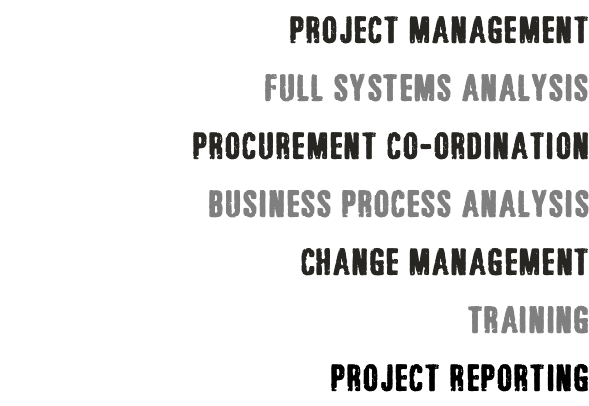project management full systems analysis procurement co-ordination business process analysis change management training project reporting